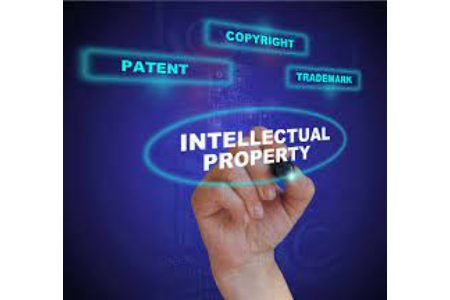 Matters Related to Intellectual Property (IPR)